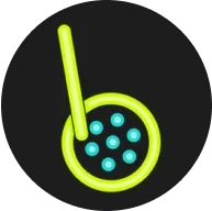 kdpay钱包app最新版本